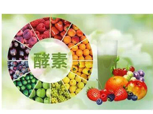 水果酵素是什么?